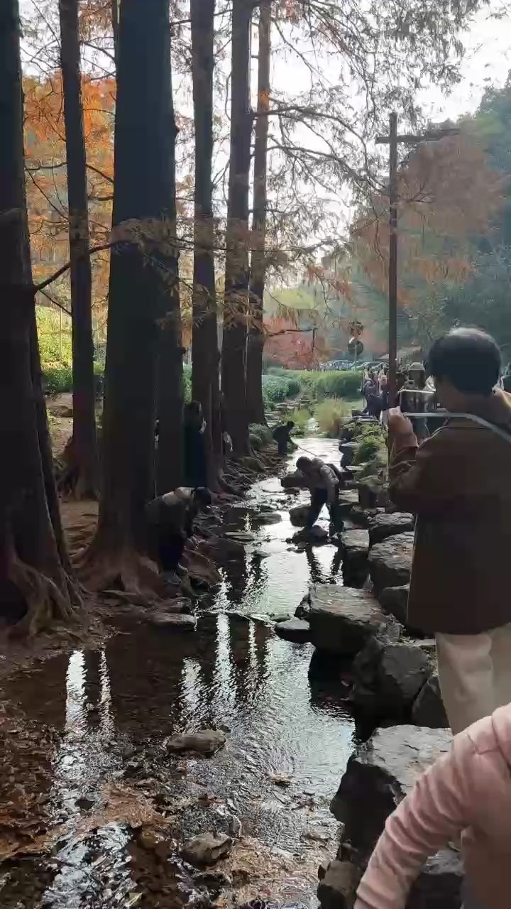 九溪