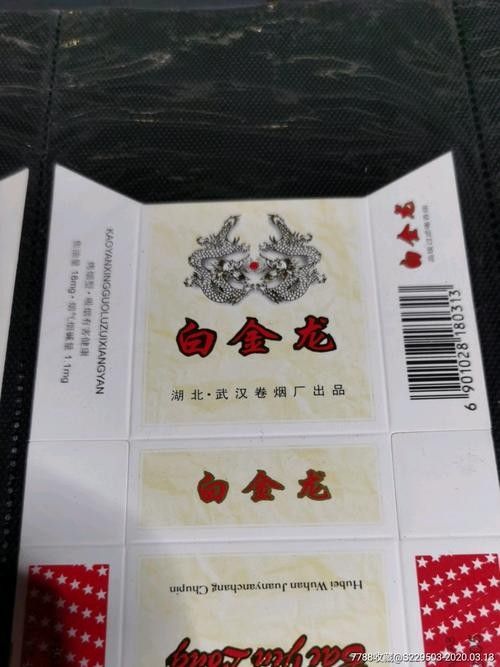 白金龍 觀賞魚百科 第8張 白金龍 白金龍 觀賞魚百科 第8張