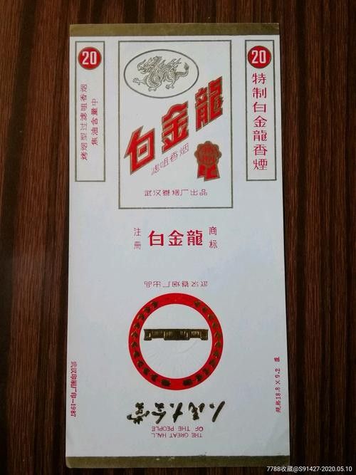 白金龍 觀賞魚百科 第11張 白金龍 白金龍 觀賞魚百科 第11張