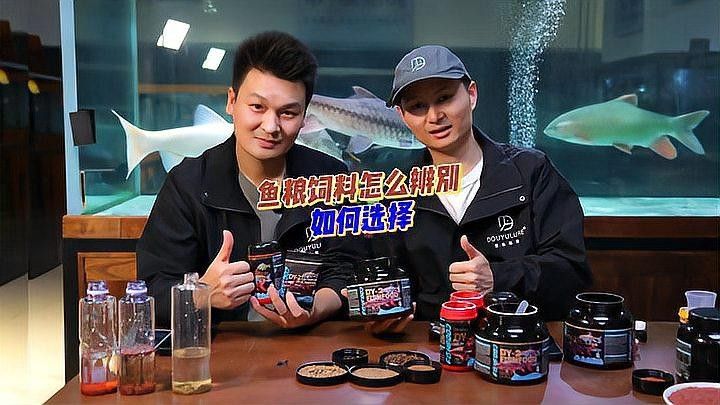 委內(nèi)瑞拉紅勾丁魚最忌三種食物