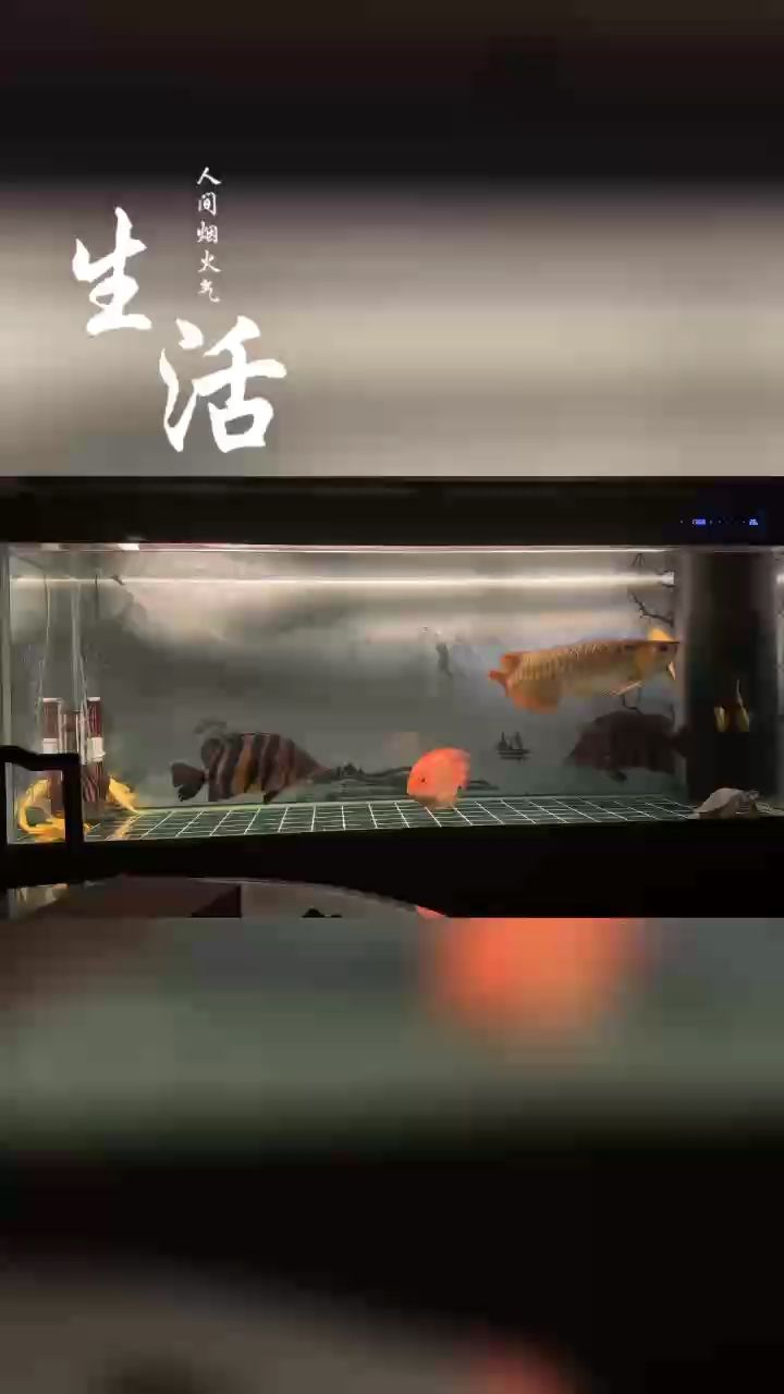 錢