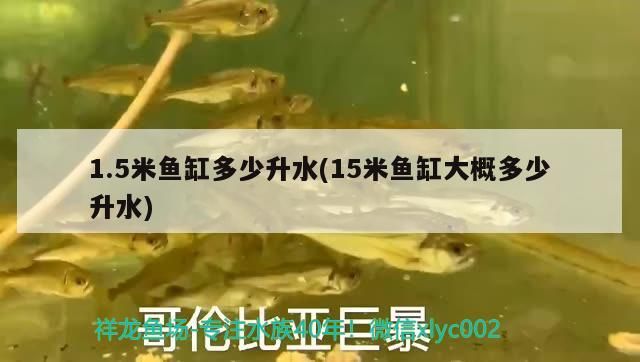 1.5米魚缸多少升水(15米魚缸大概多少升水)