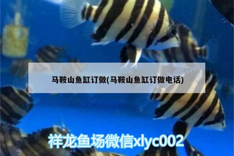 馬<strong><mark>鞍山</mark></strong>魚缸訂做(馬<strong><mark>鞍山</mark></strong>魚缸訂做電話)