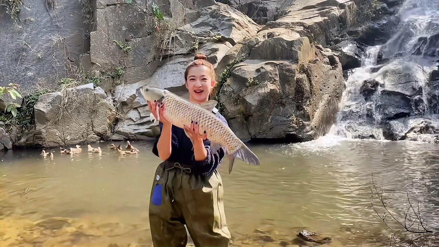 官垌魚介紹 官垌魚介紹 觀賞魚百科 第1張
