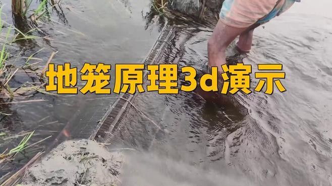 地籠抓魚是什么原理