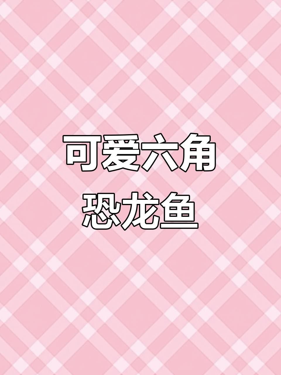 六角龍魚照片