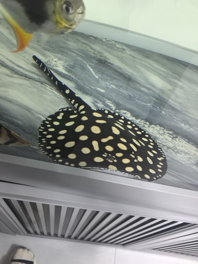 幫忙看看值多少