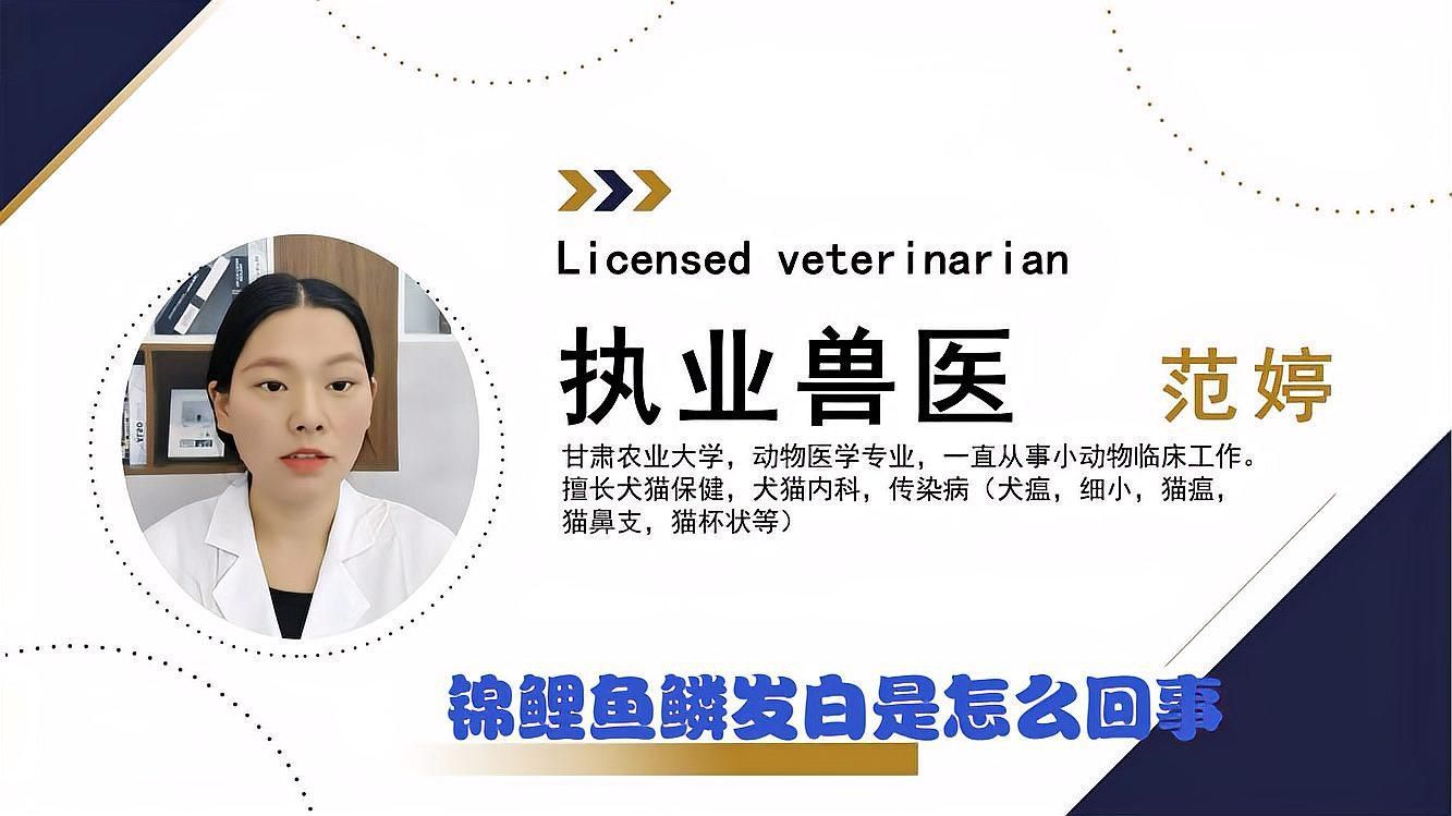 如何判斷魚身上鱗片變白的具體病因？ 如何判斷魚身上鱗片變白的具體病因？ 龍魚百科