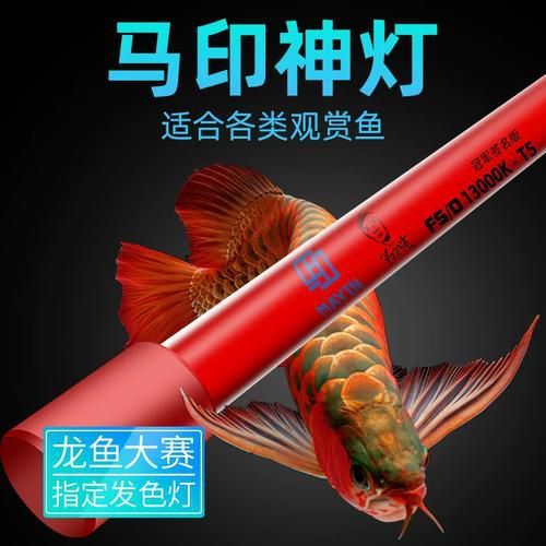 推薦幾款龍魚發色燈品牌
