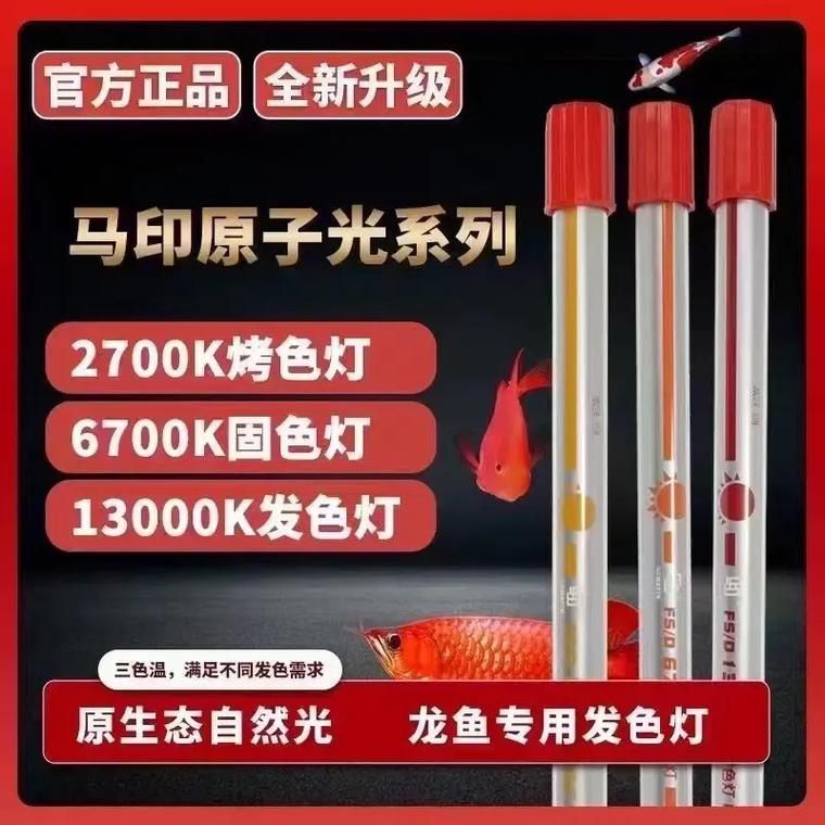 推薦幾款龍魚發色燈品牌
