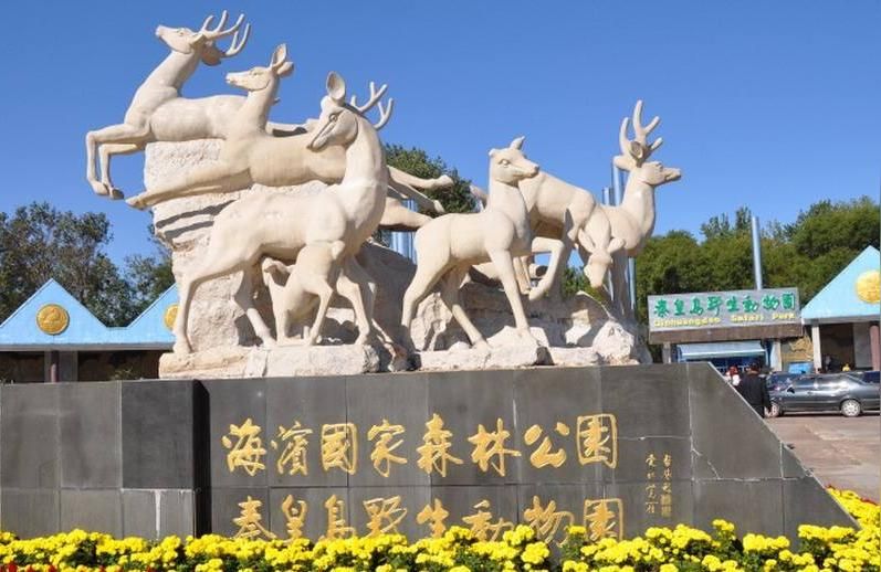 秦皇島觀賞魚