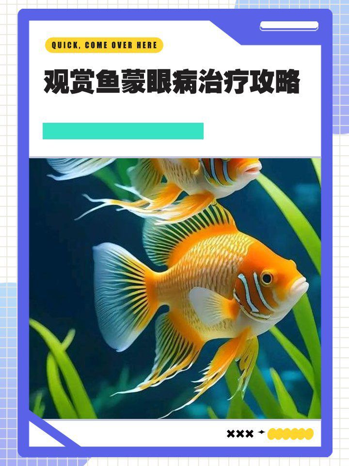 觀賞魚蒙眼病能徹底治愈嗎？