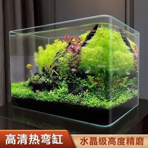 yee品牌