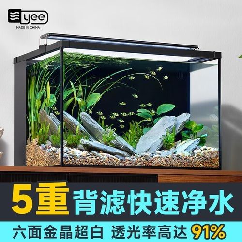 yee品牌