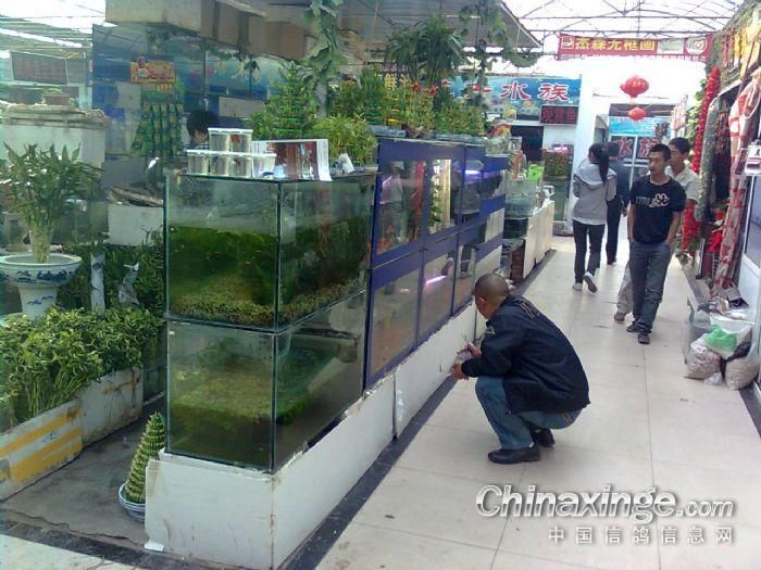 漢中水族批發市場：漢中市水族批發市場
