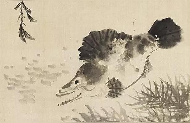 漢中水族批發市場：漢中市水族批發市場