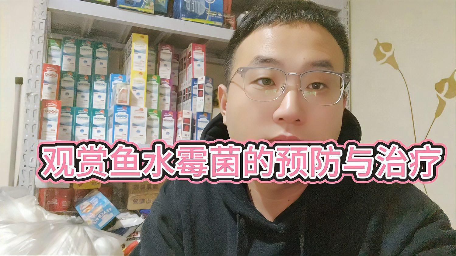 魚霉菌感染如何治療？