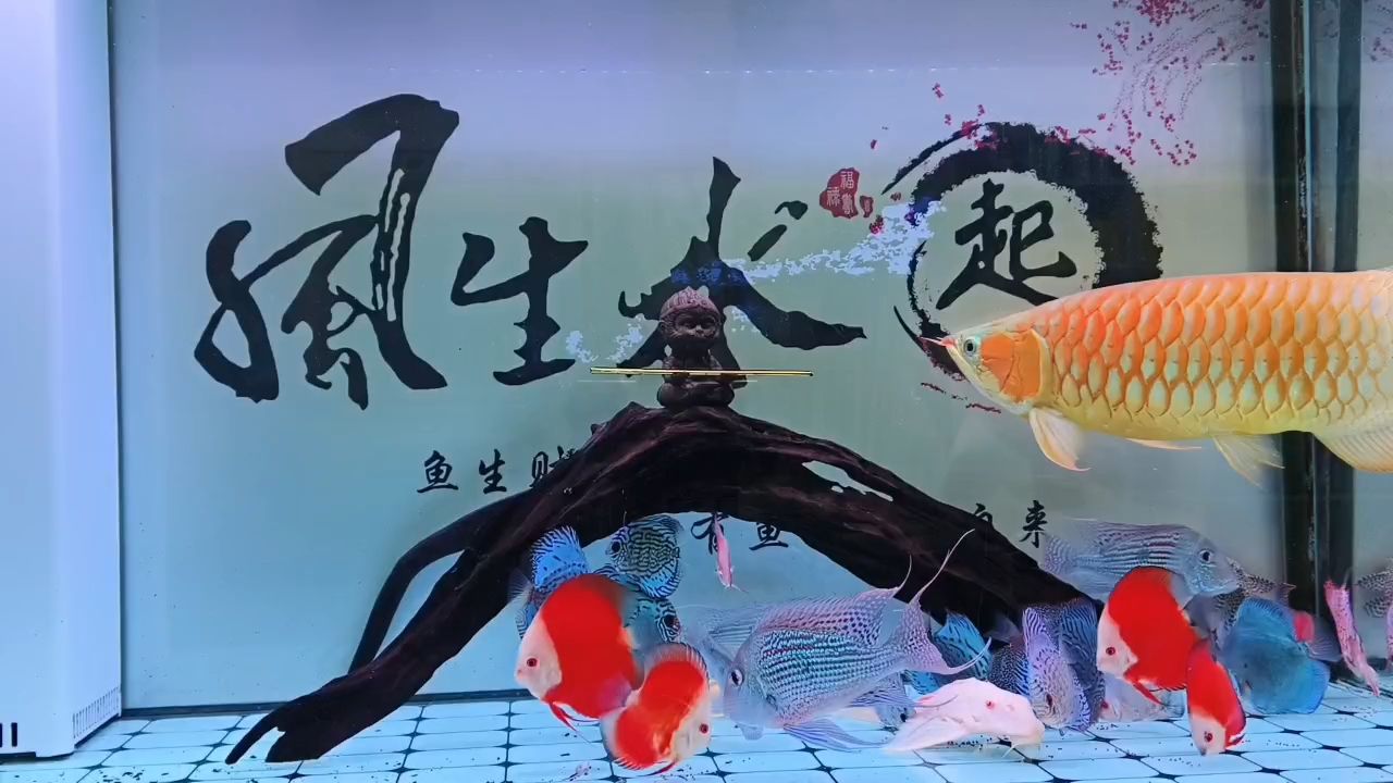 一晃過去六年了