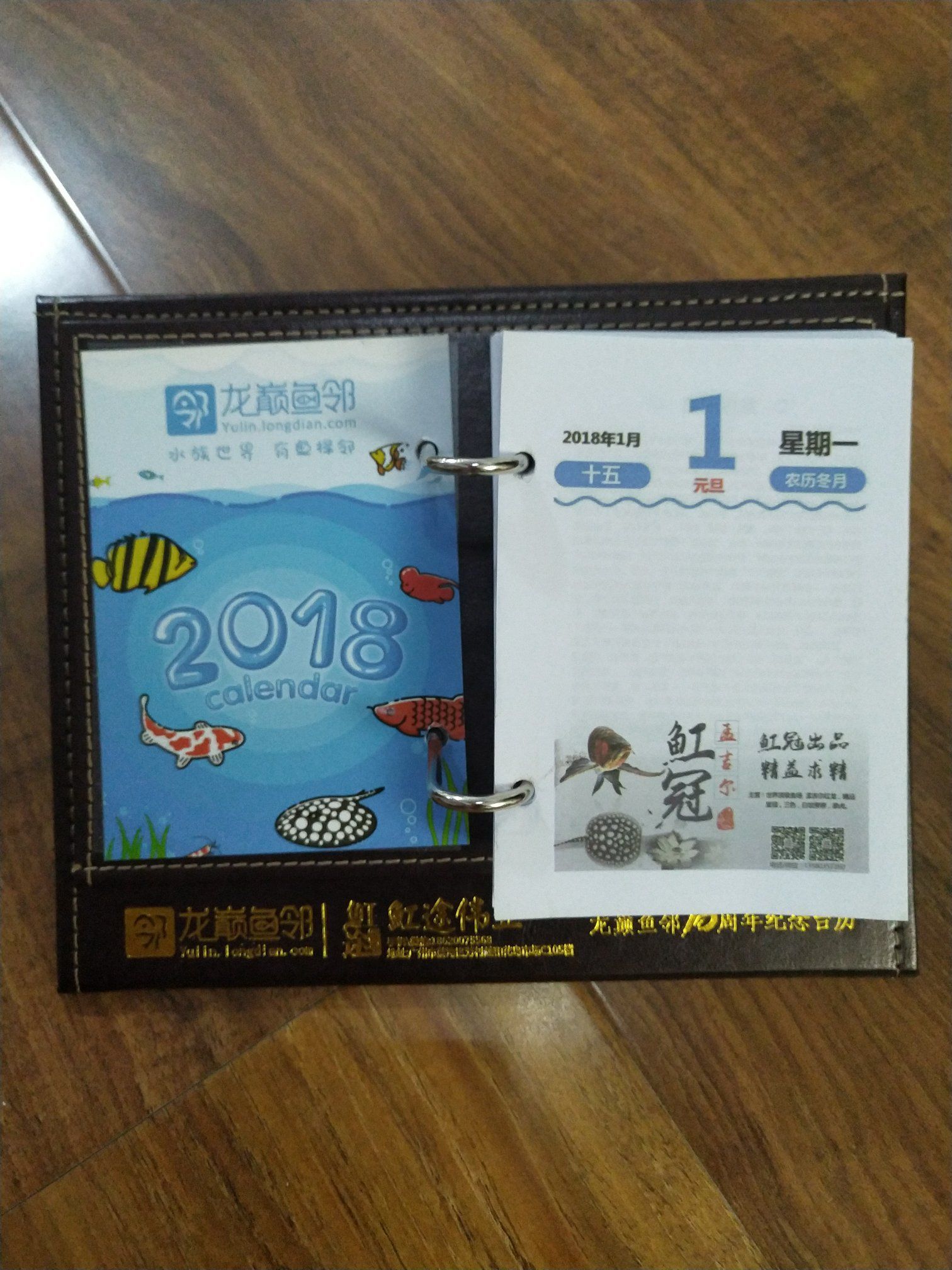 龍巔臺歷到貨了 龍巔臺歷到貨了 觀賞魚百科 第2張