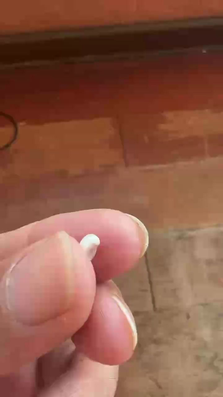 錦鯉附件