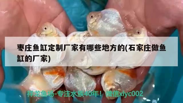 棗莊魚缸定制廠家有哪些地方的(石家莊做魚缸的廠家)