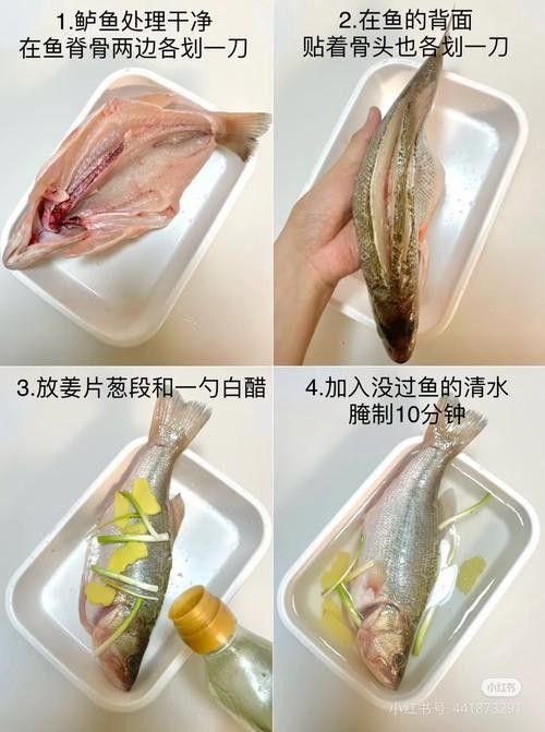 魚須子爛了最簡單處理方法圖片