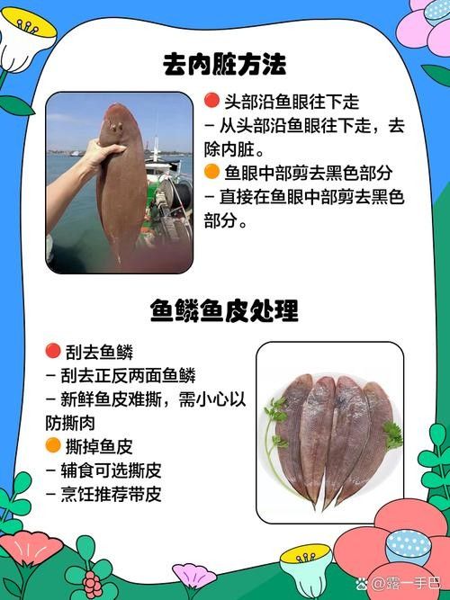 魚須子爛了最簡單處理方法圖片