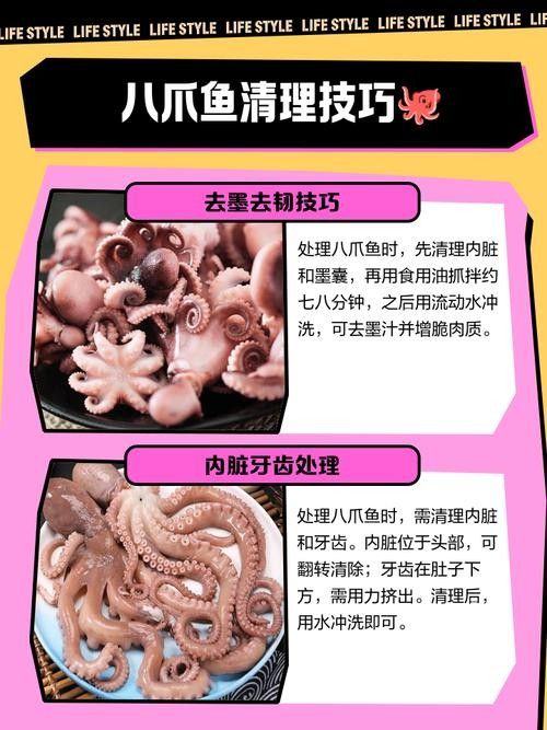 魚須子爛了最簡單處理方法圖片