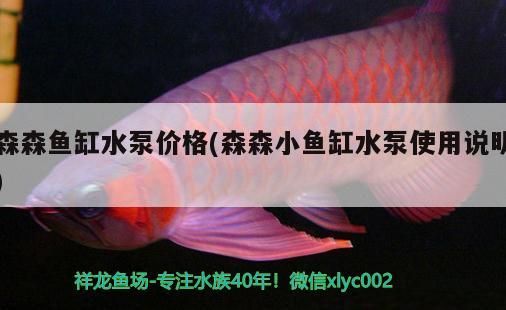 森森魚(yú)缸水泵價(jià)格(森森小魚(yú)缸水泵使用說(shuō)明)