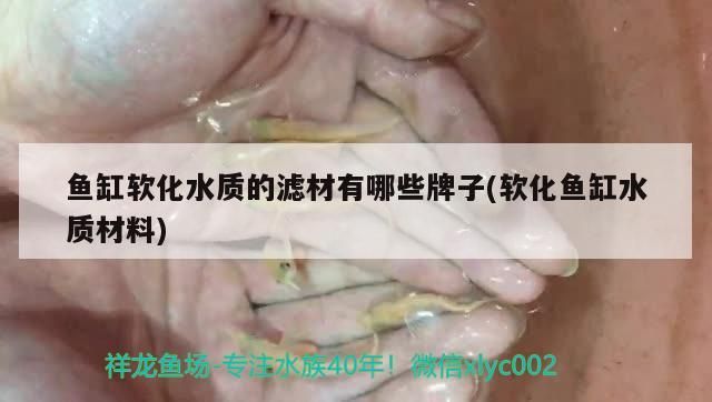 魚缸軟化水質的濾材有哪些牌子(軟化魚缸水質材料)