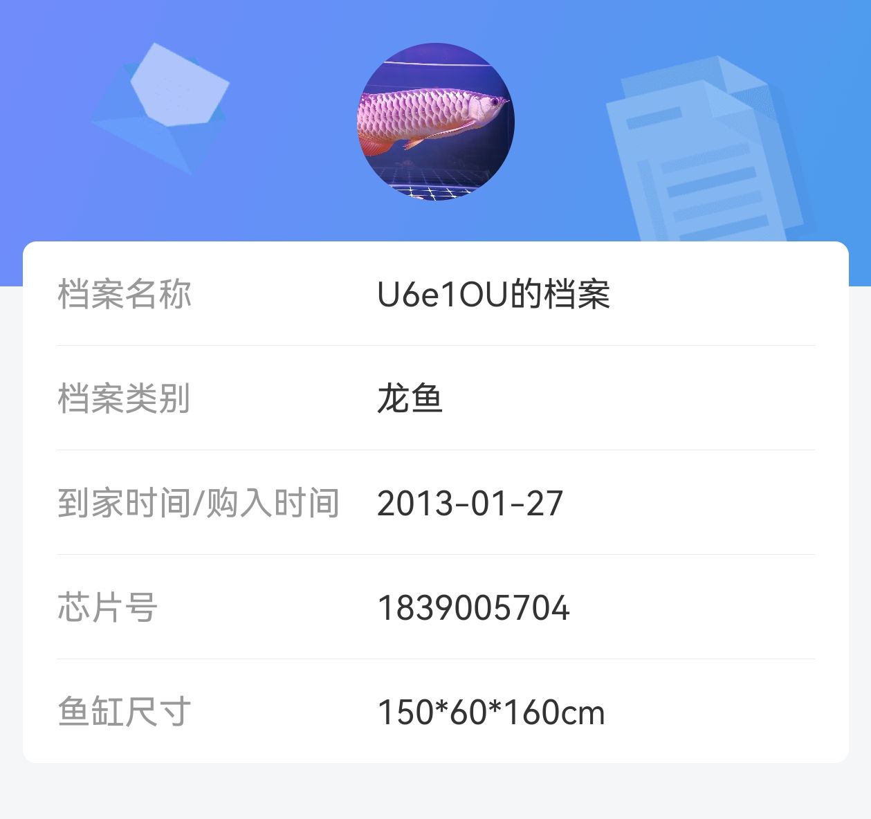 12 年又 313 天的陪伴。