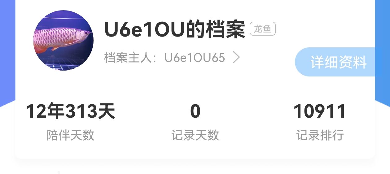 12 年又 313 天的陪伴。