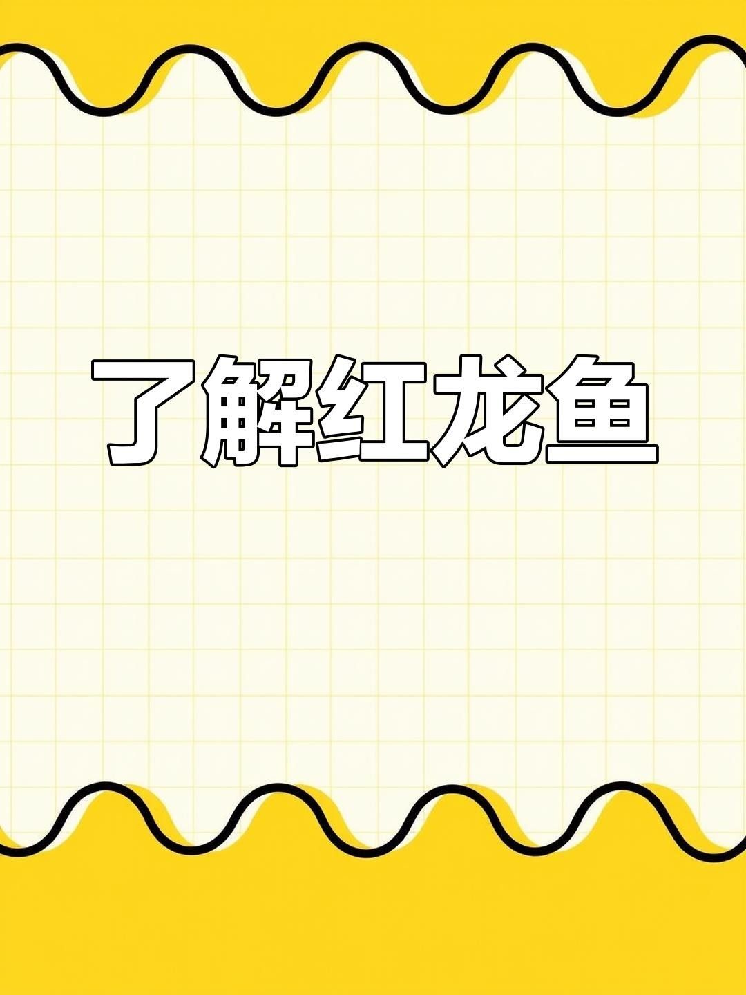 禹會紅龍魚 禹會紅龍魚 觀賞魚百科 第1張