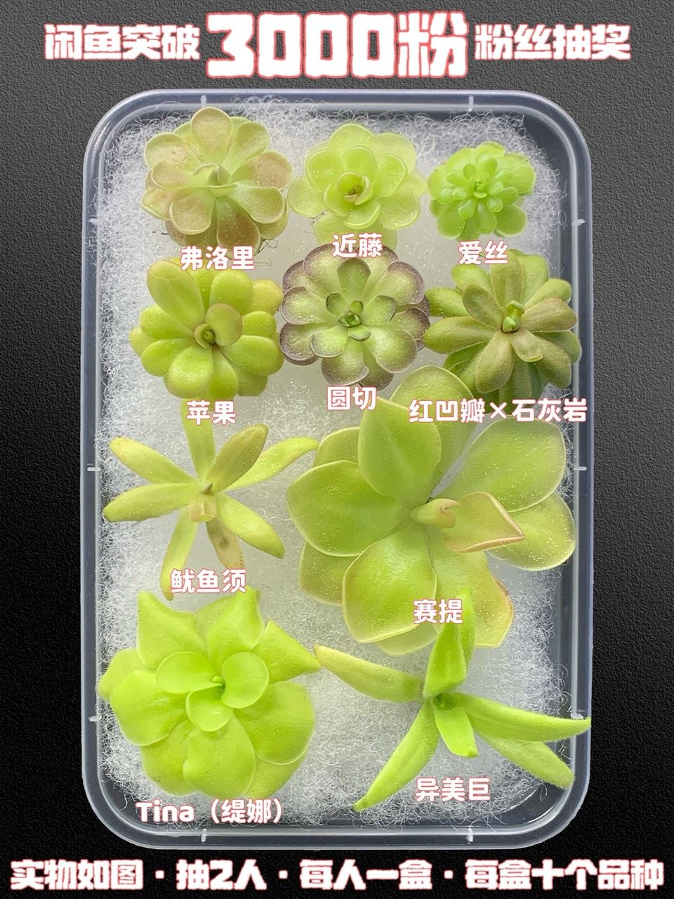 閑魚粉絲抽獎(jiǎng)～