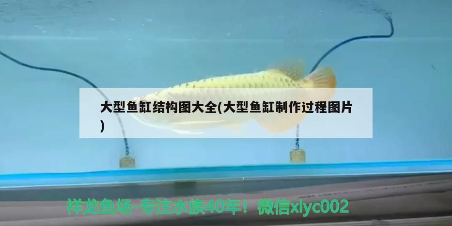 大型魚缸結構圖大全(大型魚缸制作過程圖片)