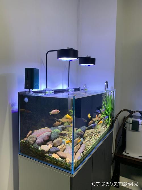 魚(yú)缸頂部照明LED燈的價(jià)格范圍 魚(yú)缸頂部照明LED燈的價(jià)格范圍 龍魚(yú)百科 第5張