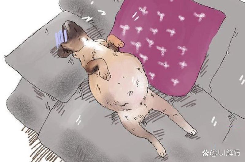 如何預防狗狗腹水？