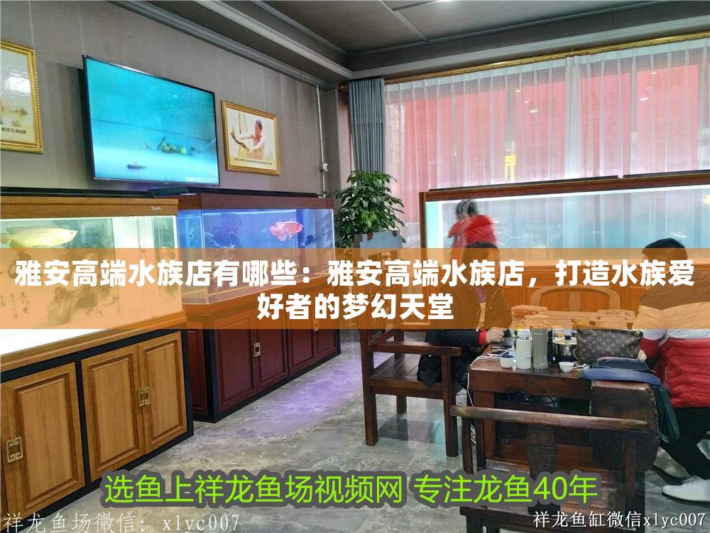 雅安高端水族店有哪些：雅安高端水族店，打造水族愛好者的夢幻天堂 雅安高端水族店有哪些：雅安高端水族店，打造水族愛好者的夢幻天堂 觀賞魚百科 第1張