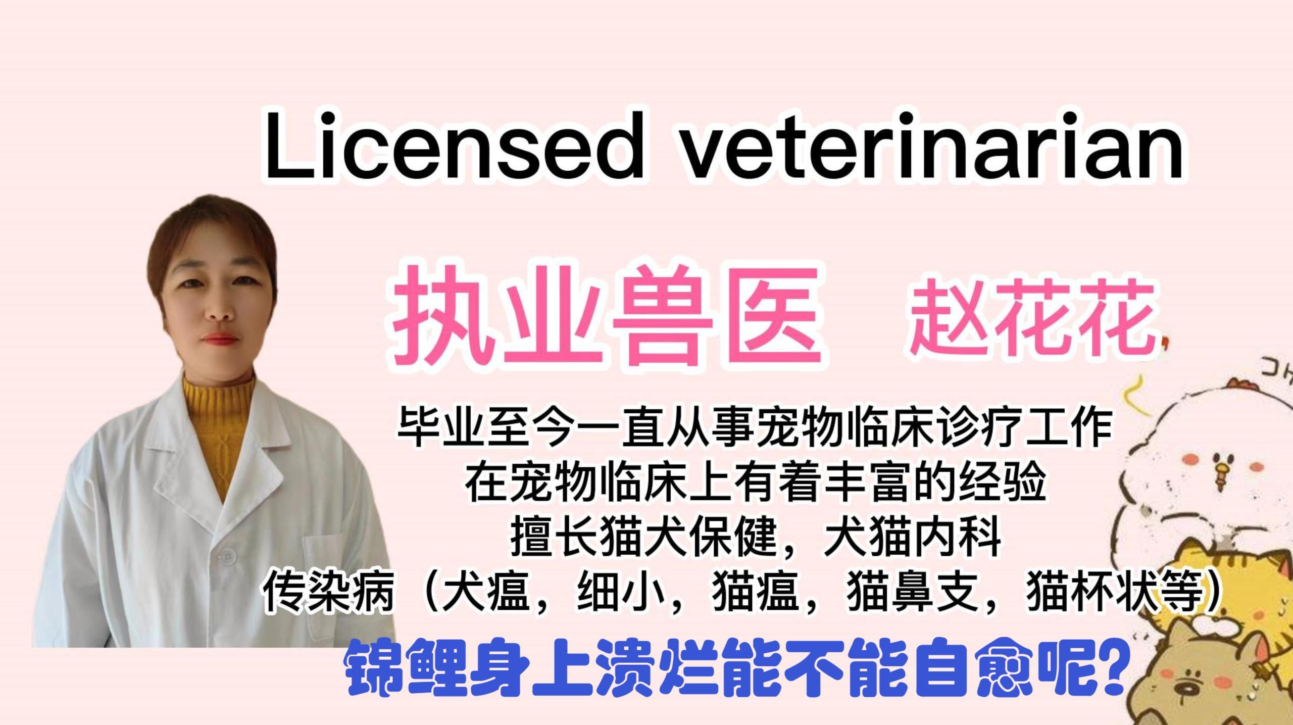 魚身上潰爛會自己好嗎？