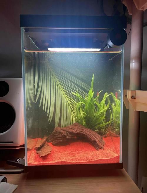 能推薦幾款三色魚缸燈嗎？