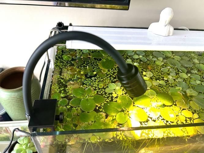 能推薦幾款三色魚缸燈嗎？