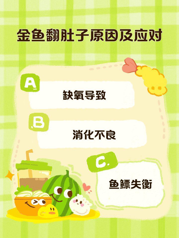 如何判斷魚是否因缺氧翻肚？ 如何判斷魚是否因缺氧翻肚？ 龍魚百科 第2張