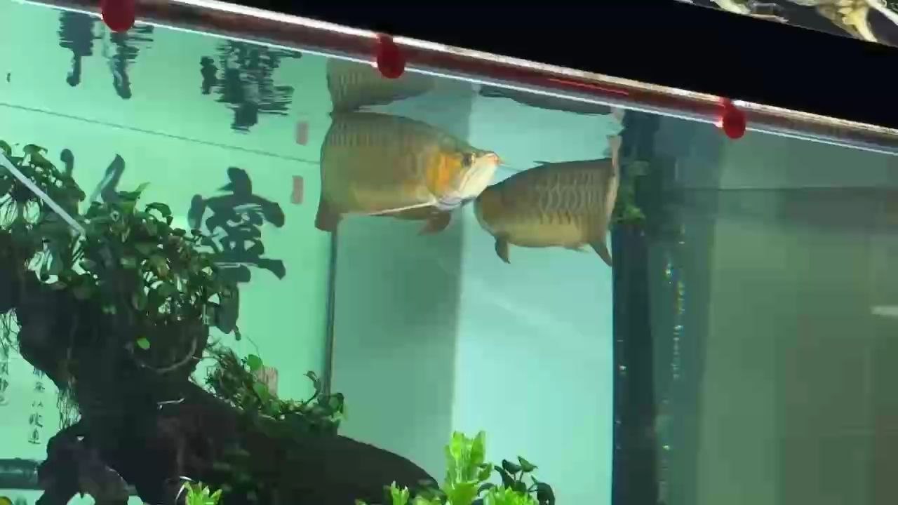 一言不合就開干