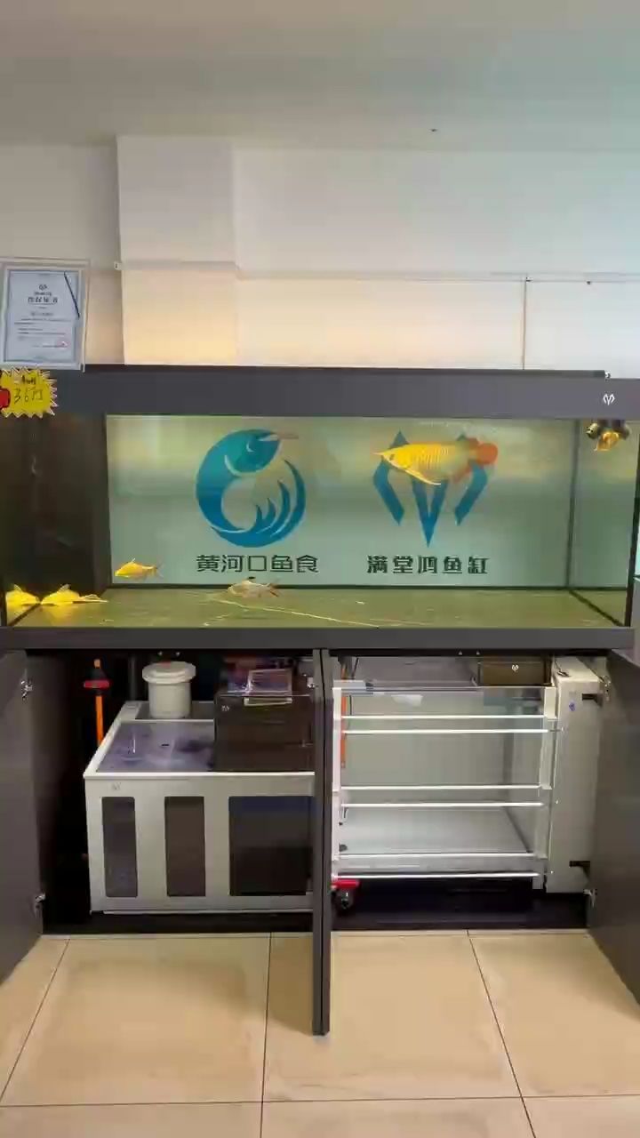 高端龍魚，魚缸，高品質魚食，一線<strong><mark>水族器材</mark></strong>