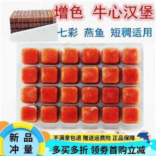 牛心漢堡作為餌料的效果如何？