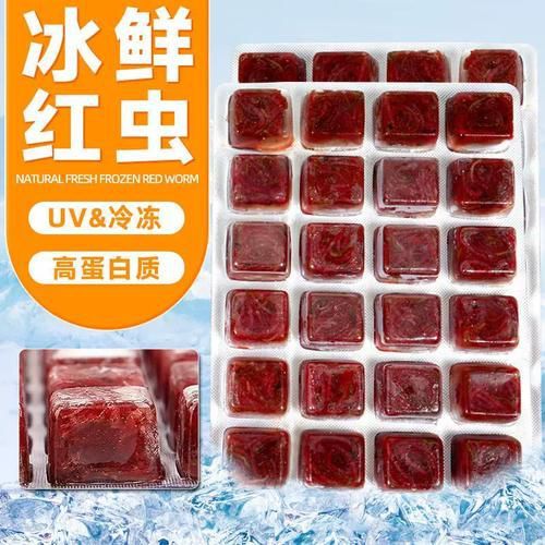 牛心漢堡作為餌料的效果如何？