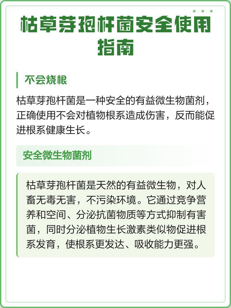 生態(tài)調(diào)節(jié)治療中，枯草芽孢桿菌如何使用？