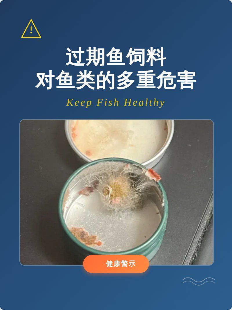 過期魚食喂魚有哪些風險？