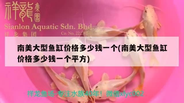 南美大型魚缸價格多少錢一個(南美大型魚缸價格多少錢一個平方)