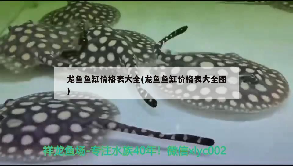 龍魚魚缸價格表大全(龍魚魚缸價格表大全圖)